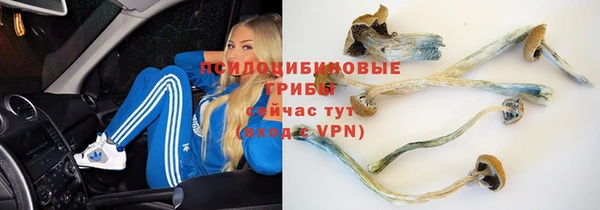 ALPHA-PVP Арсеньев