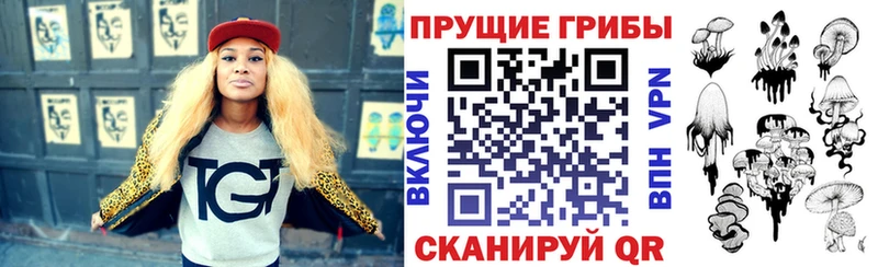 Псилоцибиновые грибы Psilocybe  что такое наркотик  Верея 